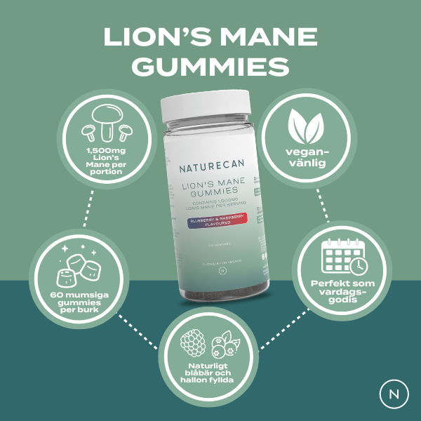 lions mane gummies förmåner